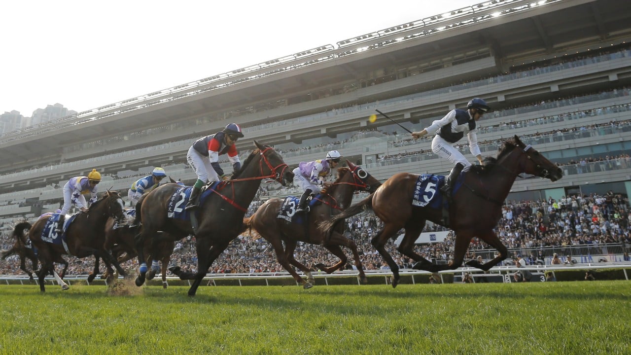 Invincible Ibis storms home to claim the Derby.