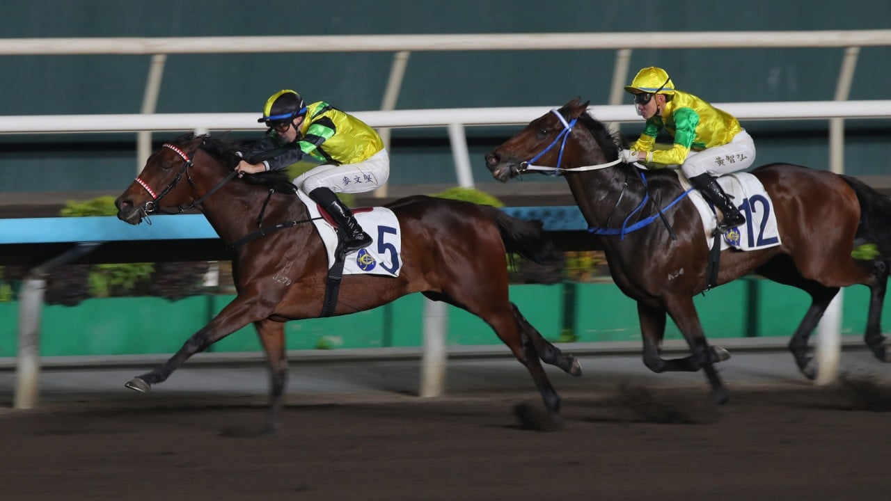 Dragon Air Force wins under Dylan Browne McMonagle in January. 