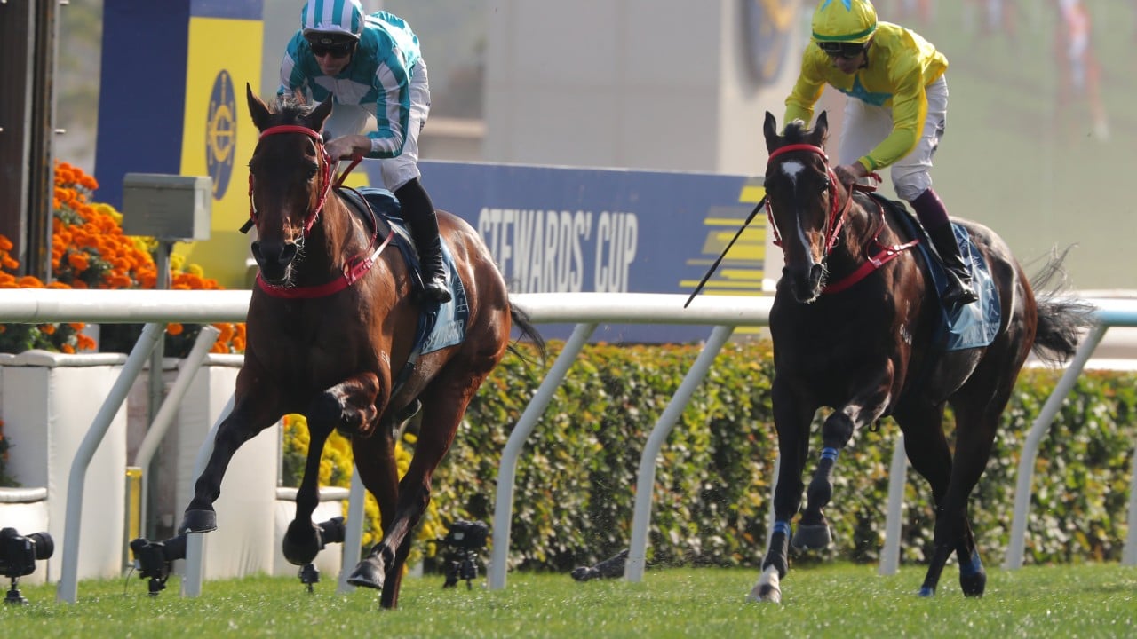 Lucky Sweynesse and Derek Leung place second behind Romantic Warrior in the Group One Stewards’ Cup (1,600m) at Sha Tin. 
