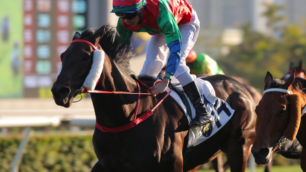 Money Catcher, ridden by Derek Leung, scores at Sha Tin.