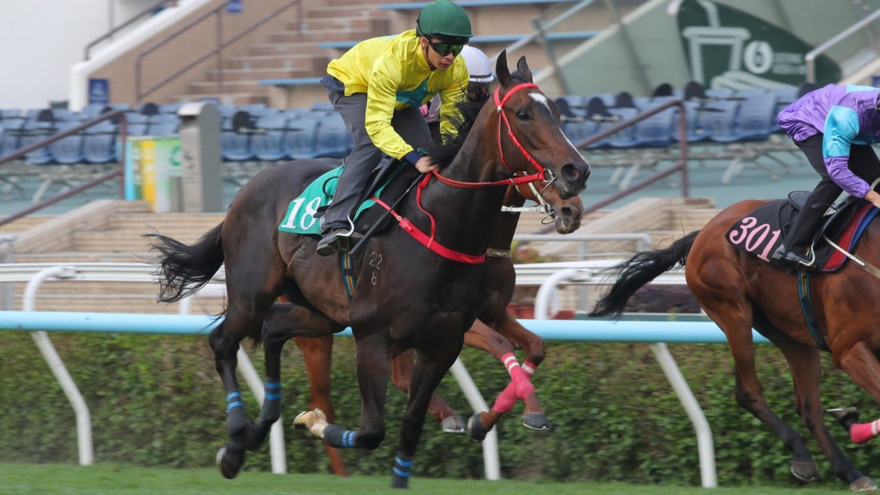 Lucky Sweynesse and Derek Leung win a trial at Sha Tin last week. 