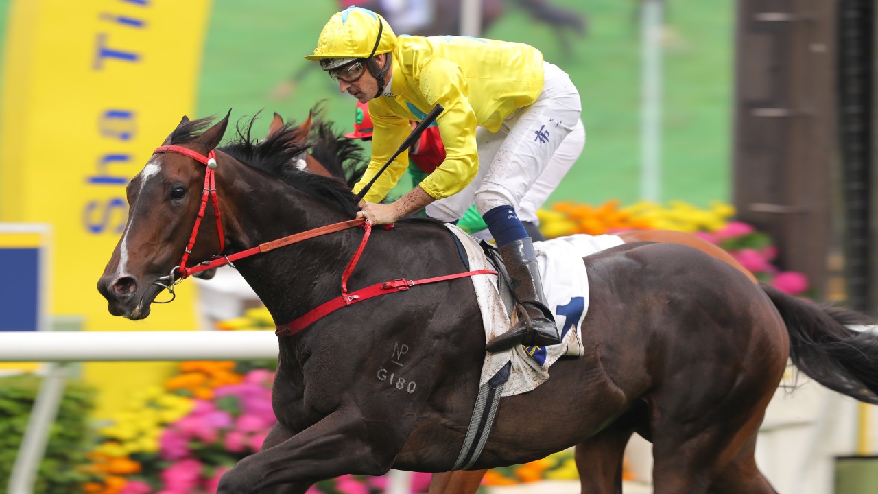 Lucky Sweynesse and Hugh Bowman win the 2024 Group Two Sprint Cup (1,200m) at Sha Tin. Photos: Kenneth Chan
