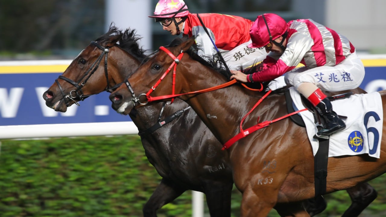 Endued (near) misses out at Sha Tin.