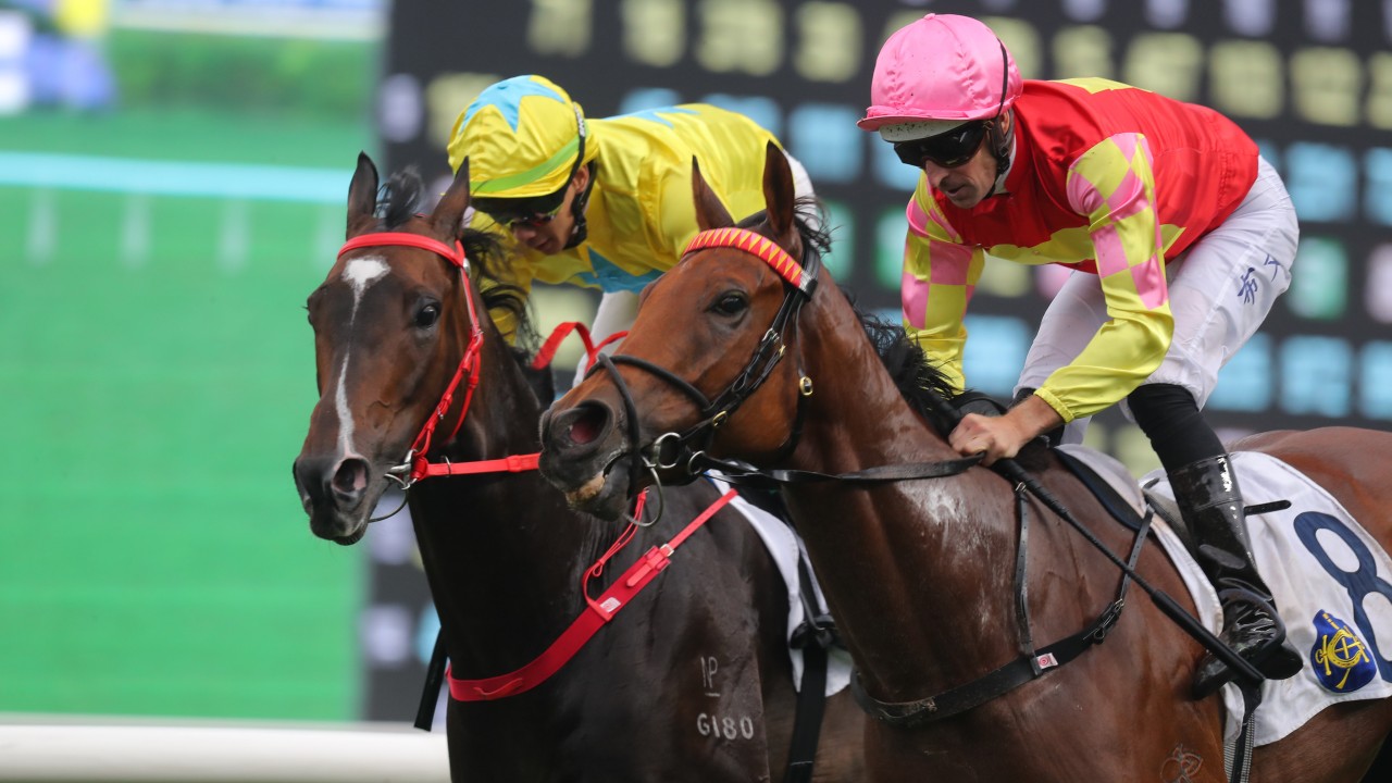 My Wish (right) finishes a close second to Lucky Sweynesse in the Chairman’s Trophy with Hugh Bowman aboard. Photos: Kenneth Chan