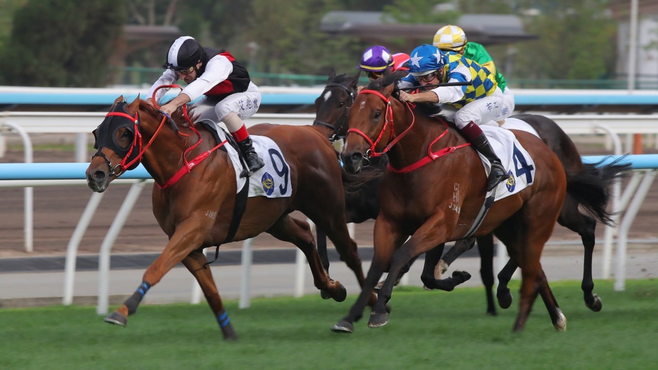 Young Champion (left) digs in at Sha Tin.