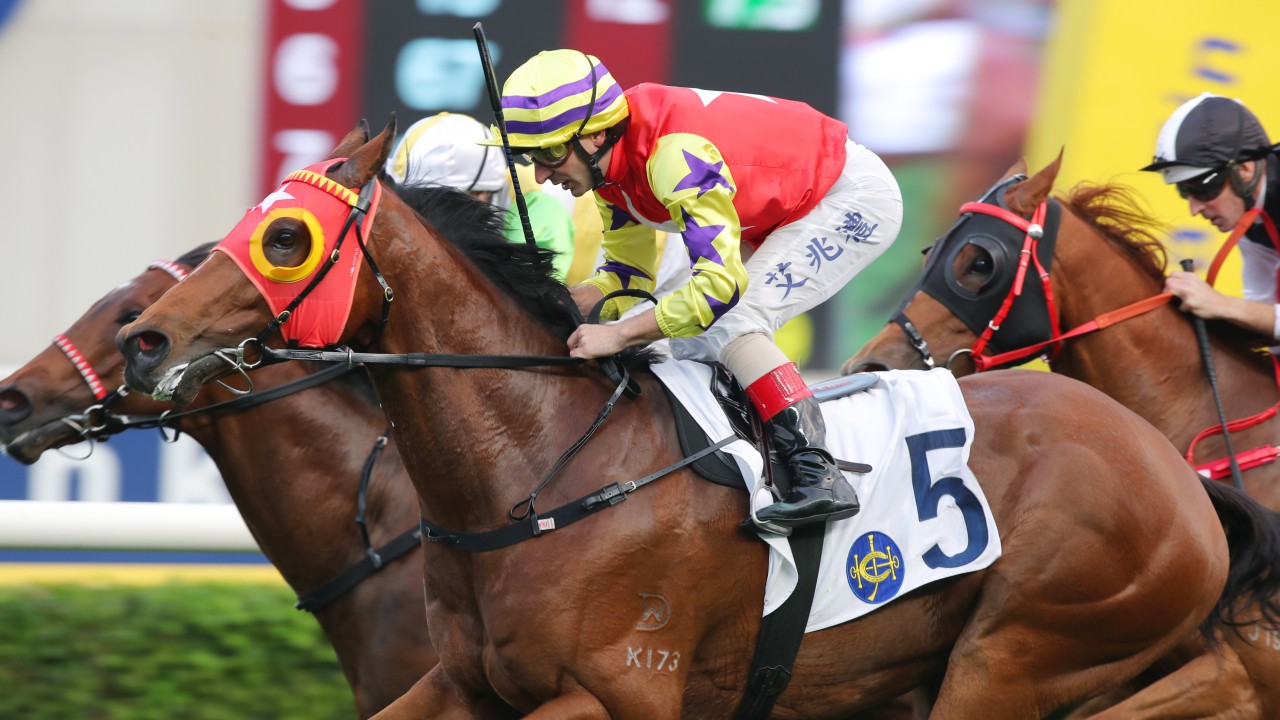 Crimson Flash, ridden by Andrea Atzeni, wins at Sha Tin. Photos: Kenneth Chan.