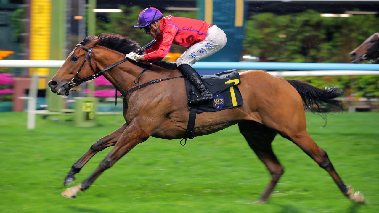 Fivefortwo, ridden by Luke Ferraris, wins at Happy Valley. Photos: Kenneth Chan