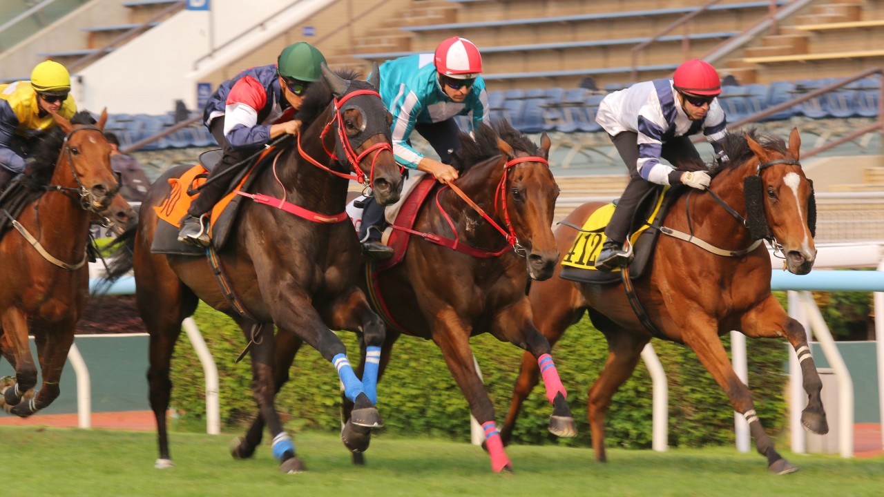 Romantic Warrior (centre), Numbers (left) and Rubylot (right) trial at Sha Tin. Photos: Kenneth Chan.