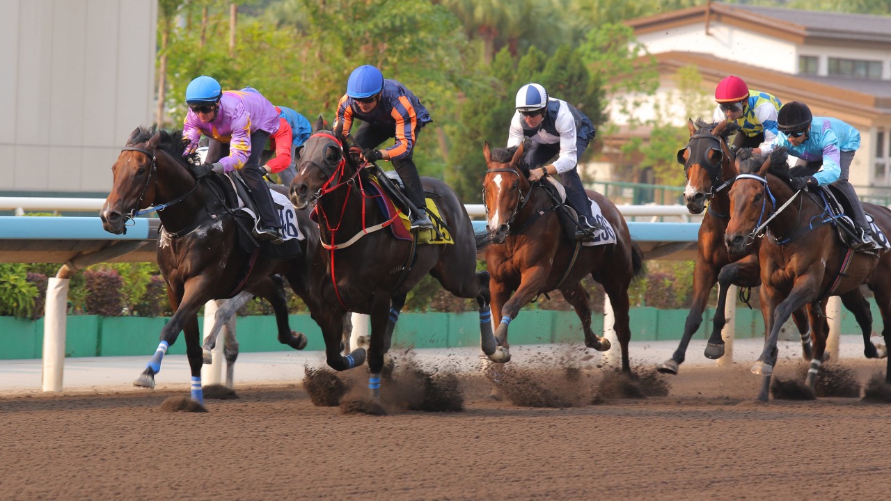 Little Paradise (inside) holds off Red Lion to win a Sha Tin trial on Thursday. Photos: Kenneth Chan