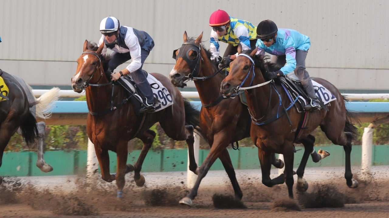 Invincible Ibis (inside) in action in Thursday’s trial.