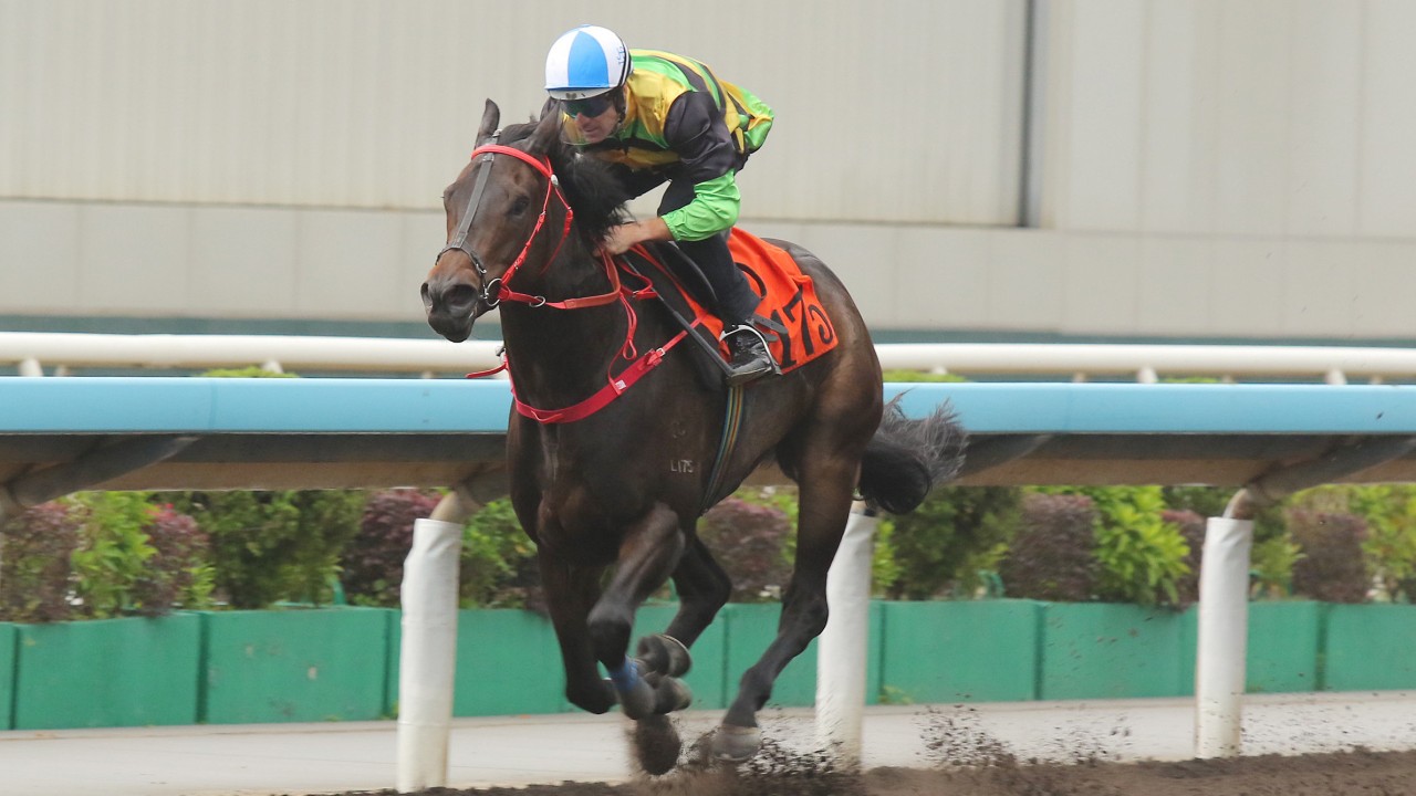 Mapogo wins his most recent trial at Sha Tin impressively with Hugh Bowman aboard. Photos: Kenneth Chan