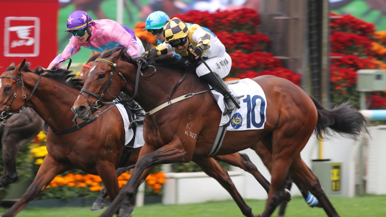 Flying Boom, ridden by Matthew Poon, salutes at Sha Tin.