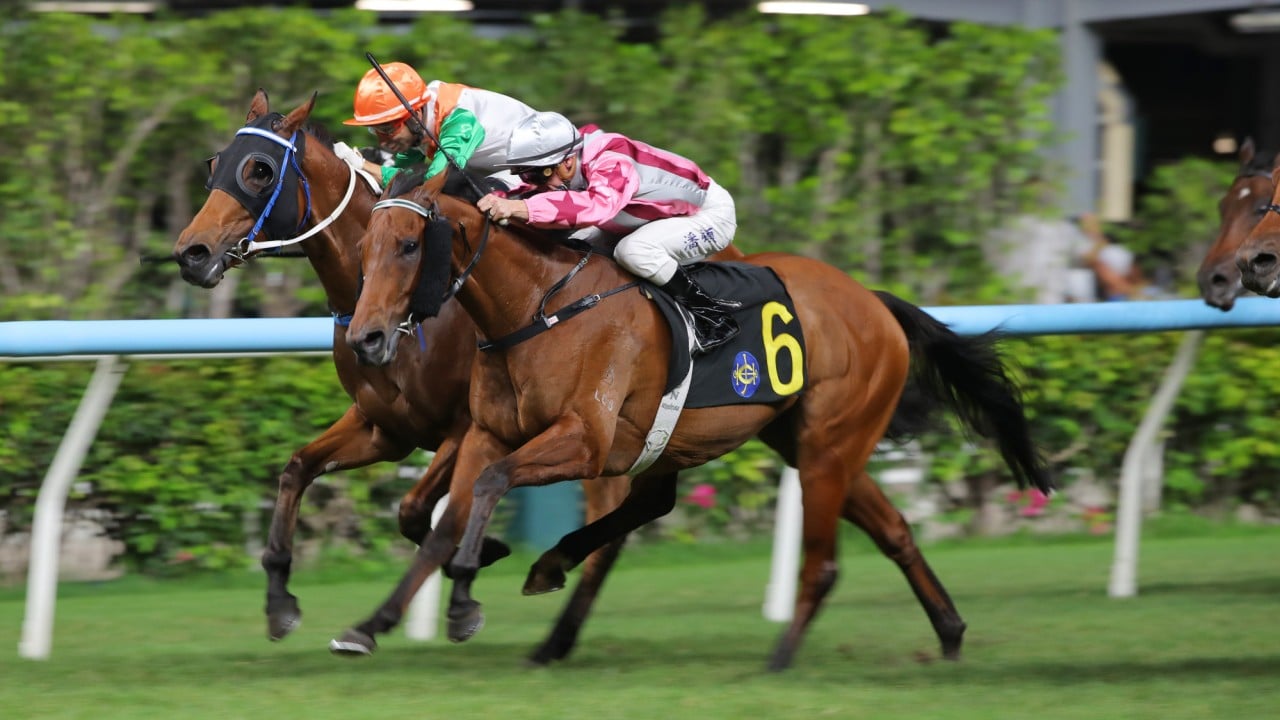 Vigor Eye gets up on the outside of Captain Link to score narrowly.