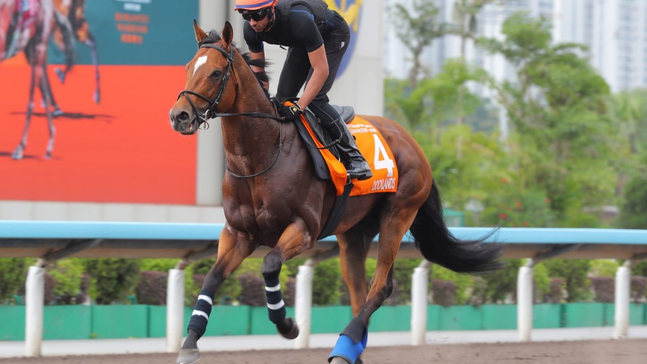 Docklands gallops at Sha Tin on Wednesday.