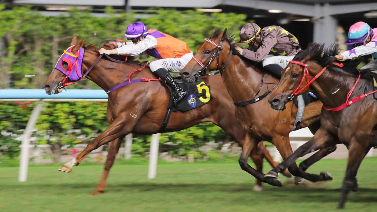 Ethan Brown lifts Shooting To Top to victory.