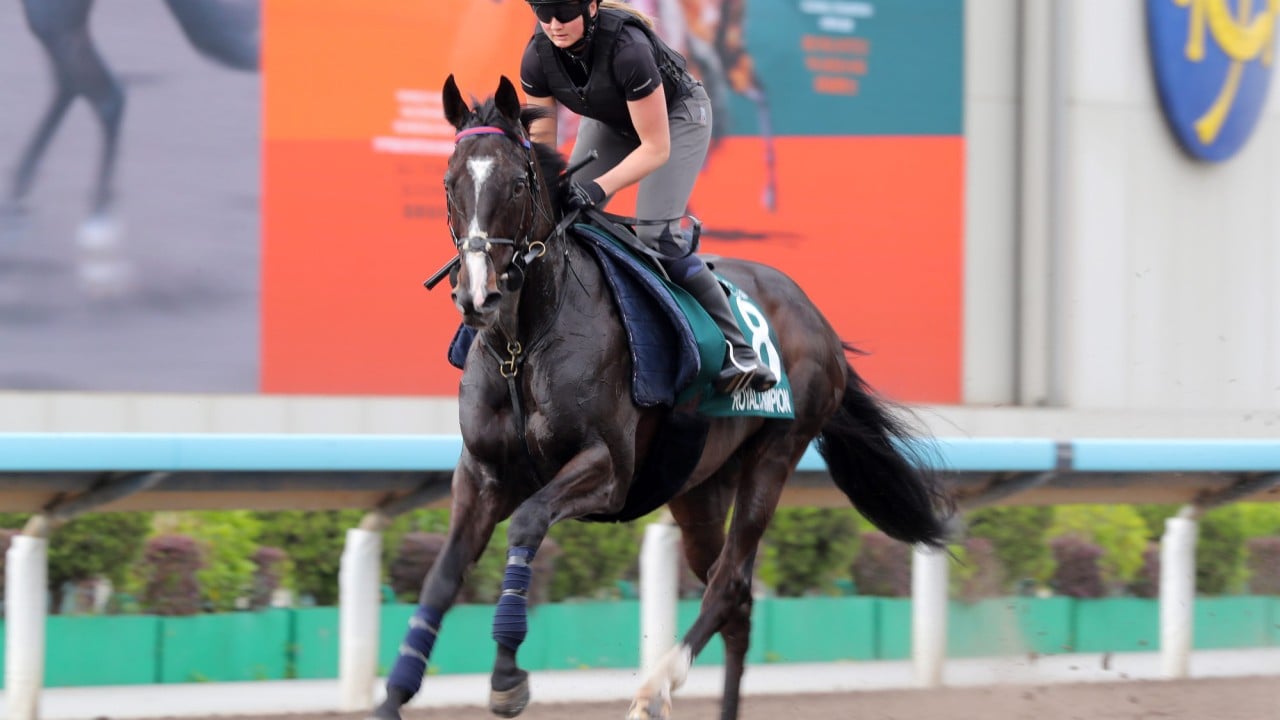 Royal Champion at Sha Tin. 