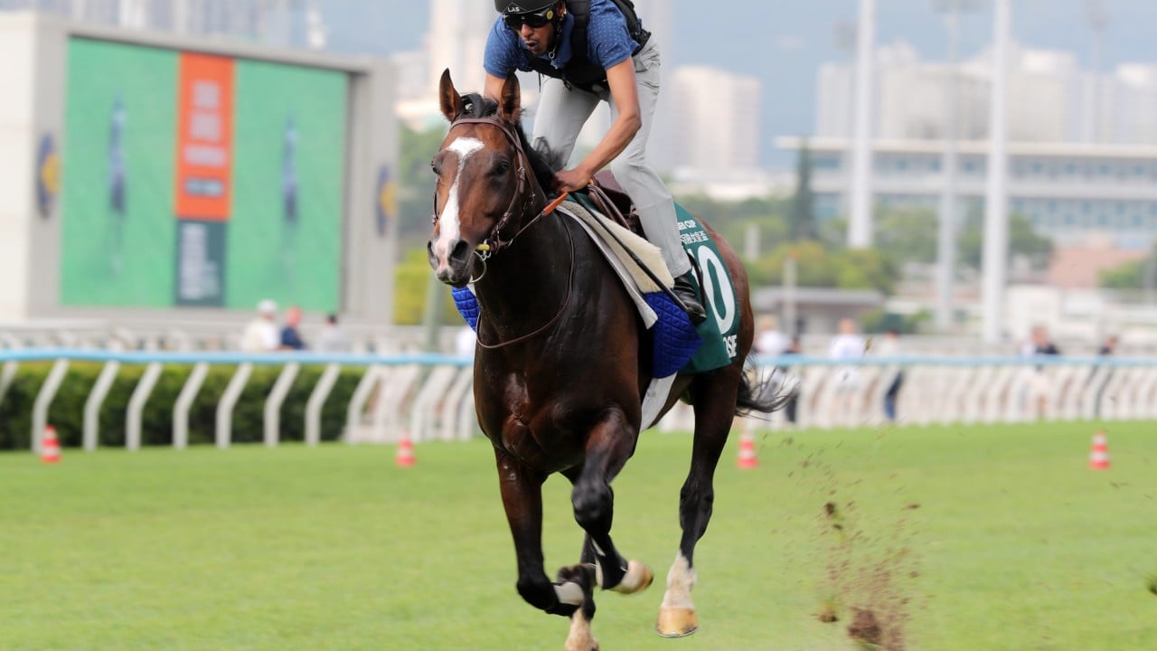 Sosie gallops at Sha Tin.