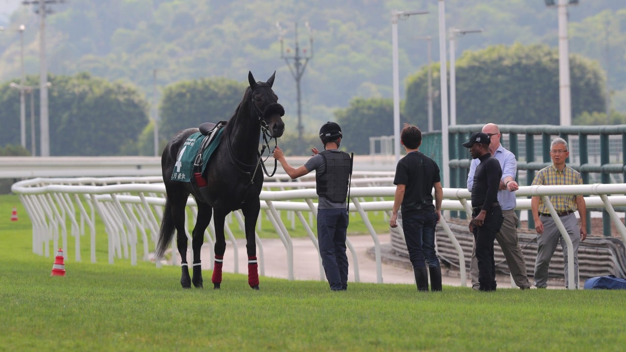 June Take is assessed after stopping during his gallop at Sha Tin.