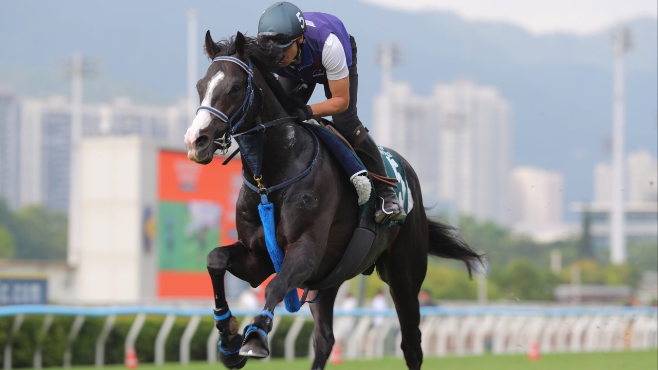 QEII Cup runner, Masquerade Ball, stretches out at Sha Tin. Photos: Kenneth Chan