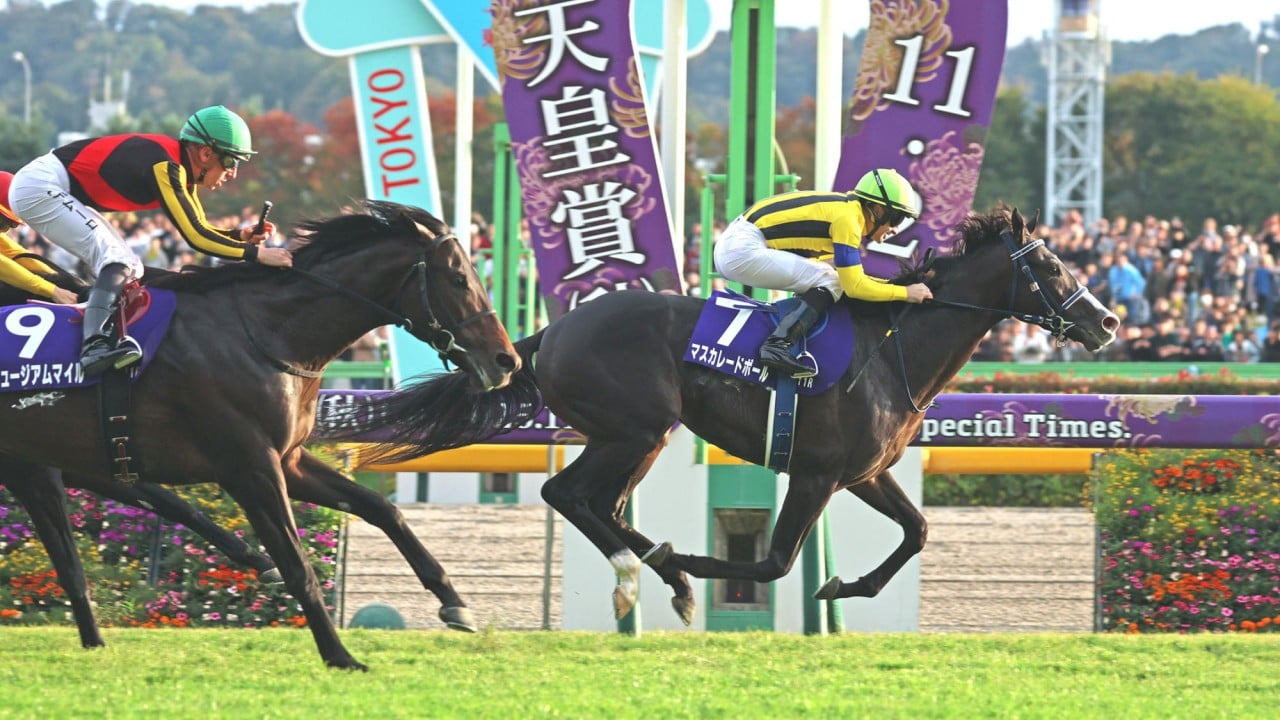 Masquerade Ball wins the Group One Tenno Sho.