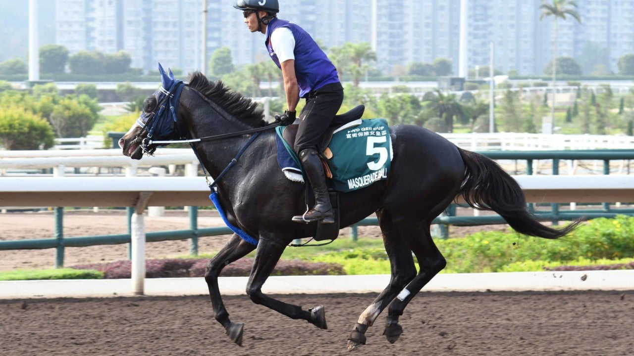 Masquerade Ball goes through his paces on the all-weather track at Sha Tin.