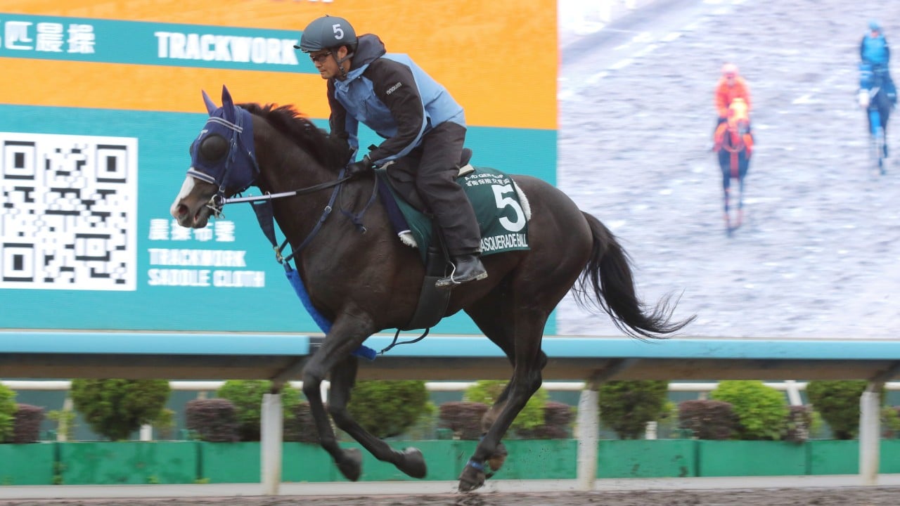 Masquerade Ball gallops at Sha Tin.