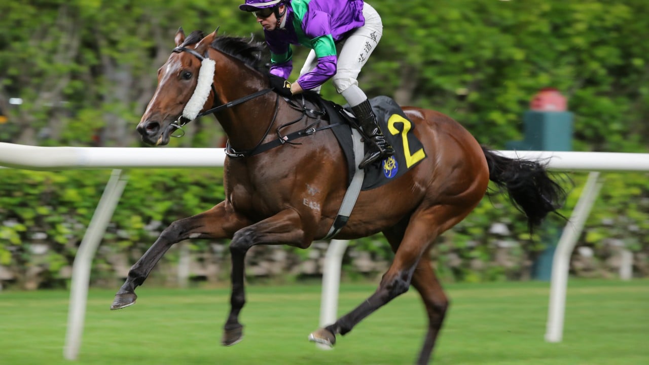 Never Too Soon, ridden by Brenton Avdulla, is victorious at Happy Valley.