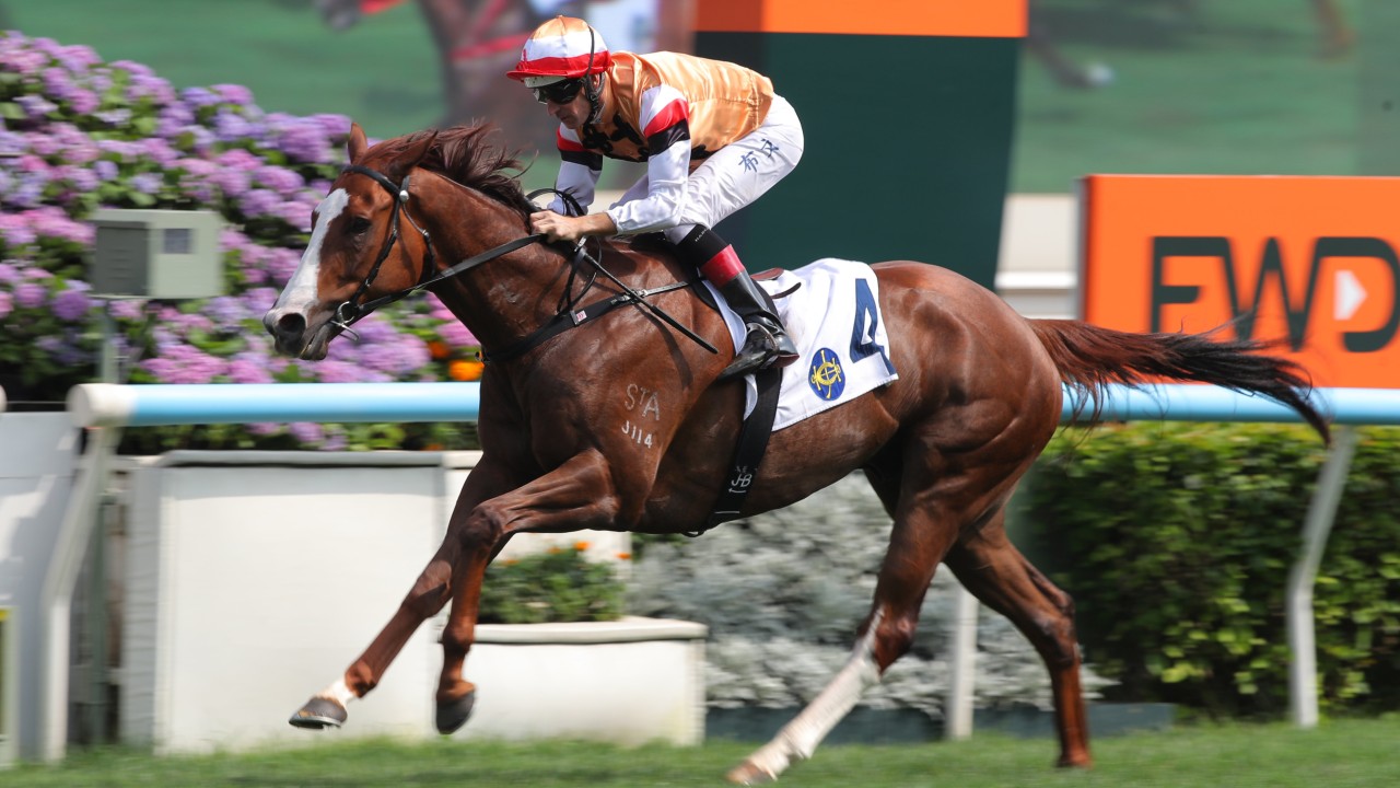 Geneva, ridden by Hugh Bowman, wins at Sha Tin. Photos: Kenneth Chan