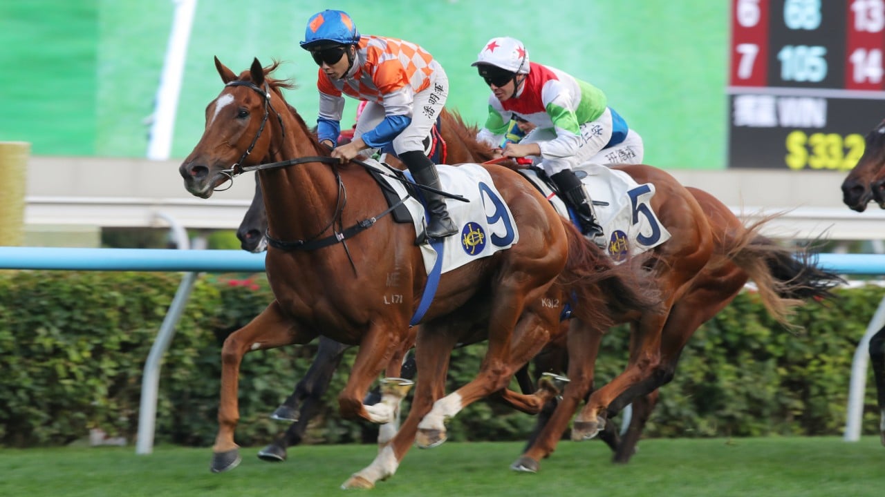 Power Of Vitam, ridden by Matthew Poon Ming-fai, scores at Sha Tin.