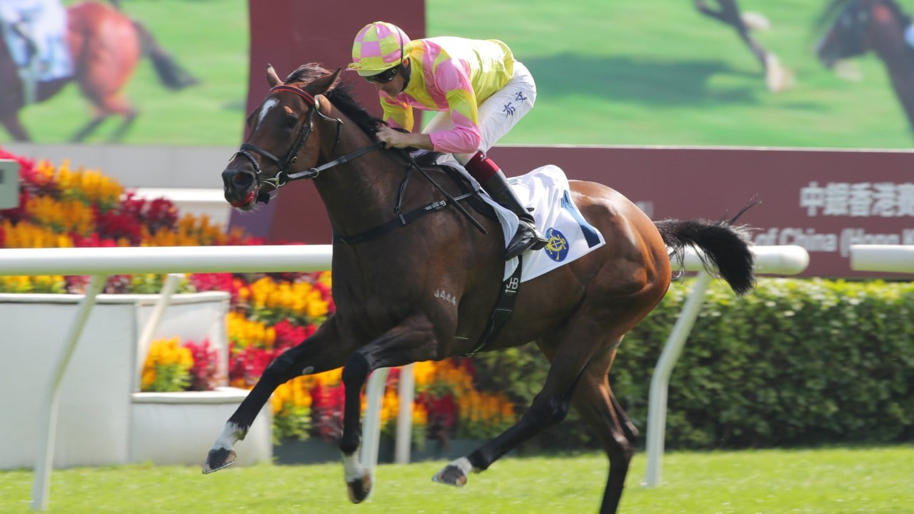 Do Your Part, ridden by Hugh Bowman, wins at Sha Tin.