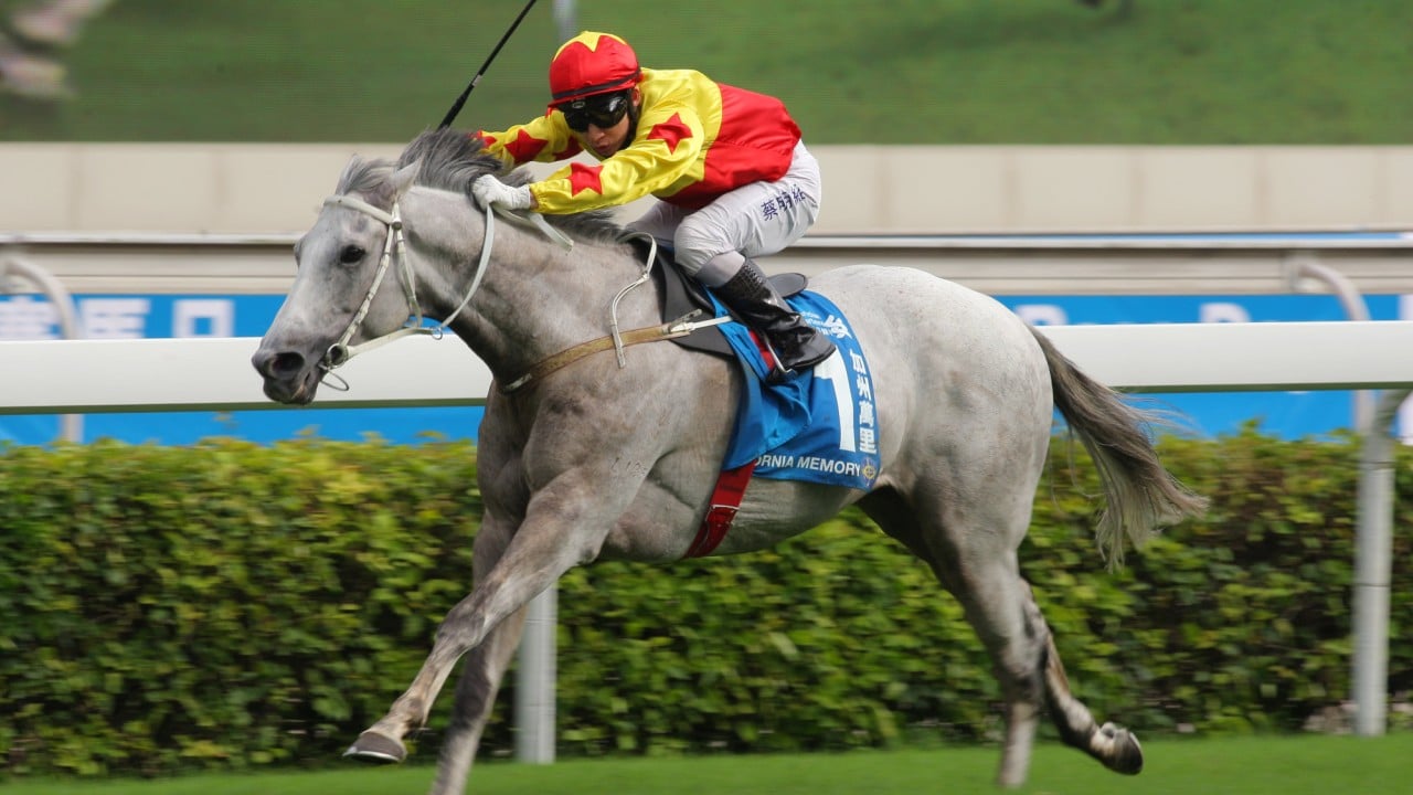 California Memory wins the 2013 Champions and Chater.