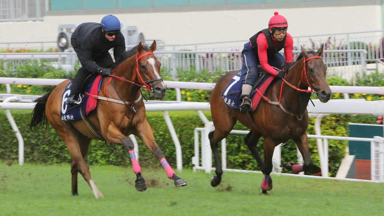 Stablemates Romantic Warrior and Romantic Thor gallop on the turf at Sha Tin.