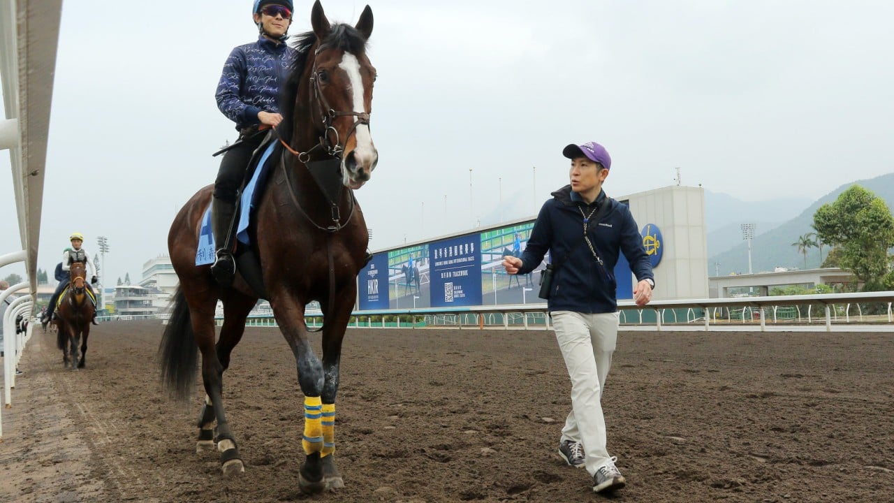 Trainer Hiroyasu Tanaka casts his eye over Rousham Park at Sha Tin last December.
