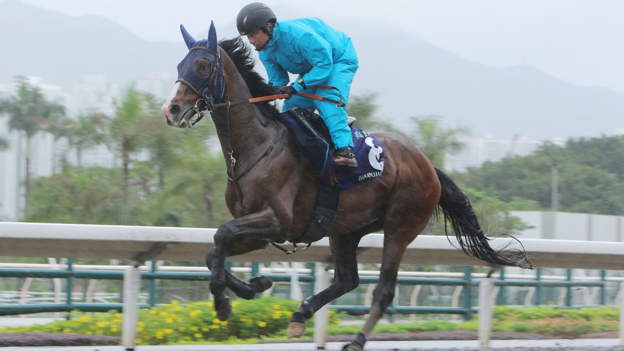 Rousham Park gallops on the Sha Tin dirt earlier this week. Photos: Kenneth Chan