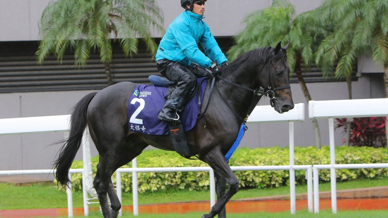 Japan’s Deep Monster gallops on the Sha Tin turf.