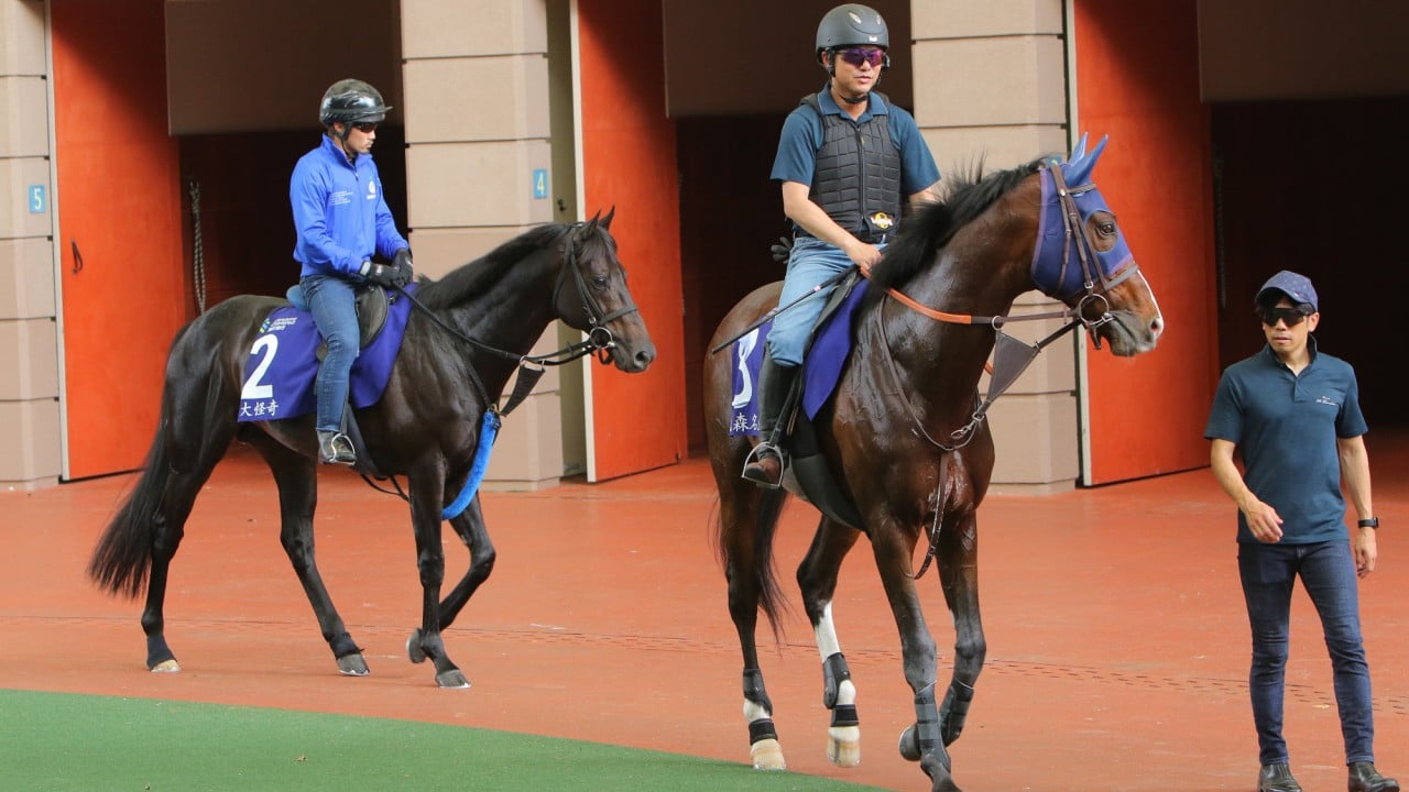 Rousham Park (right) and Deep Monster (left) at Sha Tin’s parade ring on Friday.
