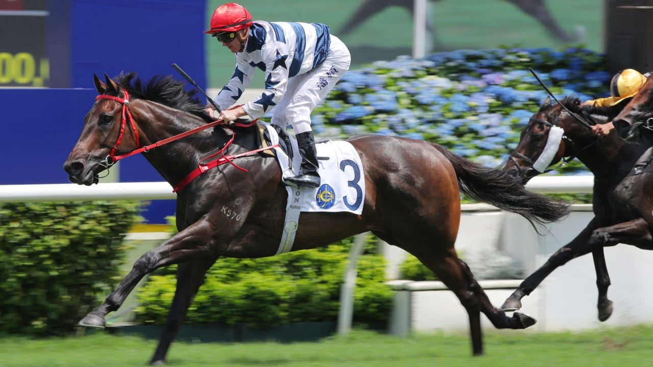 Packing King jogs in at Sha Tin.