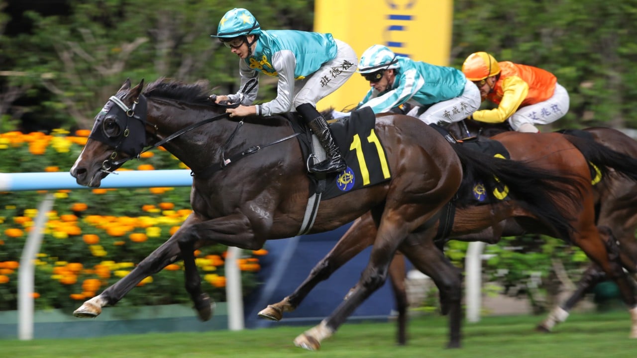 All Round Winner, ridden by Harry Bentley, scores at Happy Valley. 