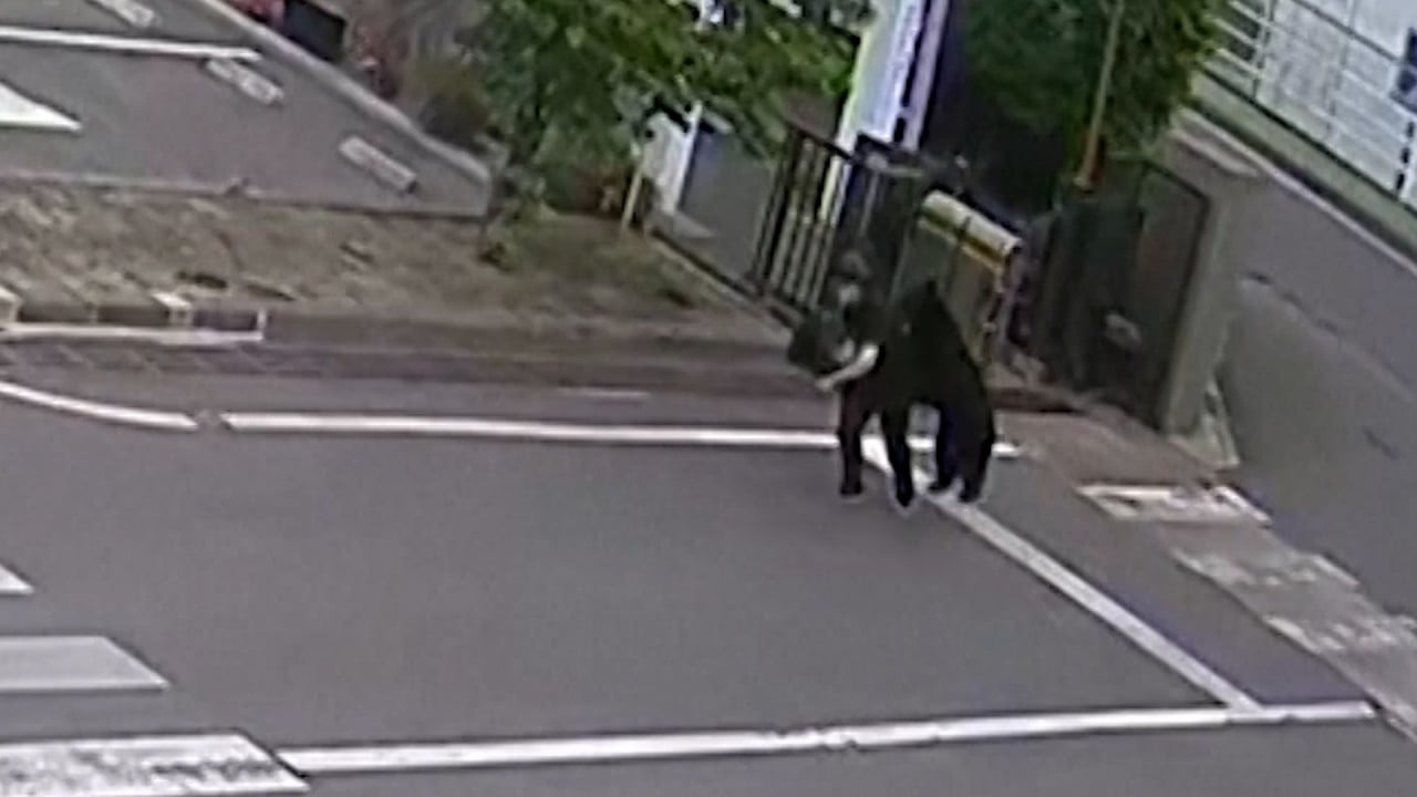 Security camera captures bear attack in Japan