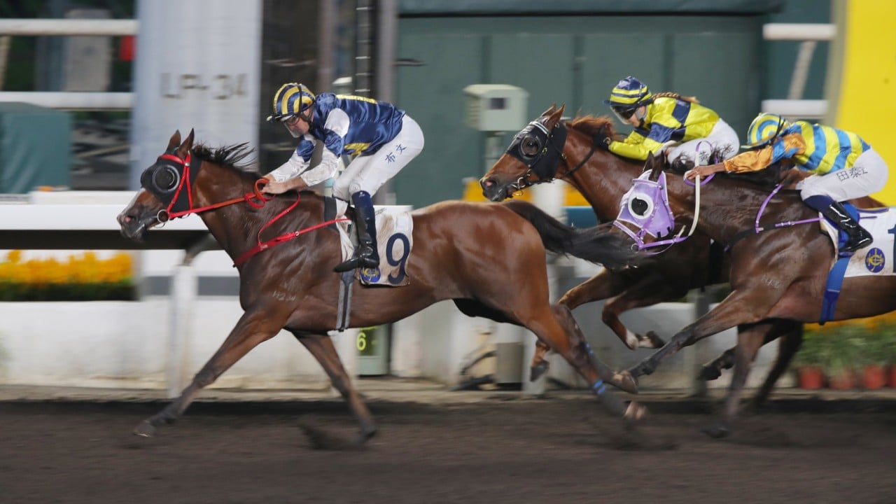 Hugh Bowman guides Meepmeep to victory last start.