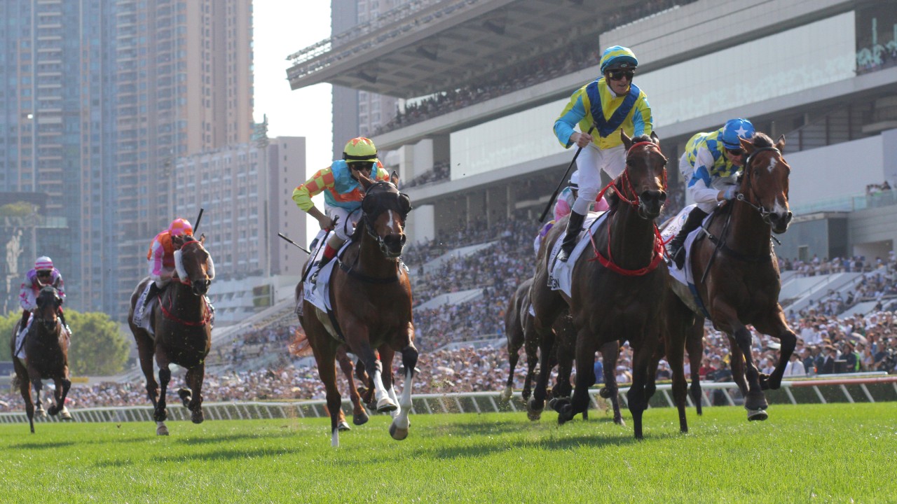 Massive Sovereign wins the 2024 Hong Kong Derby under Zac Purton. Photos: Kenneth Chan