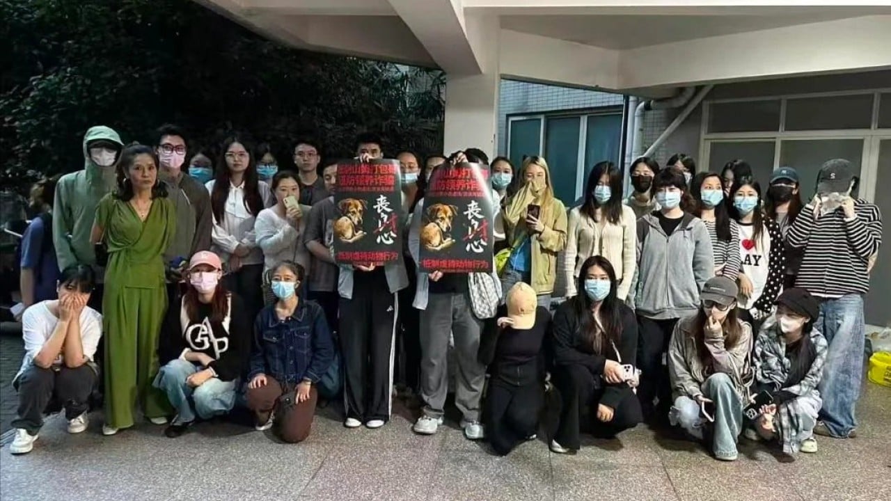 Dog abuse allegations case spark protests in China’s Chongqing