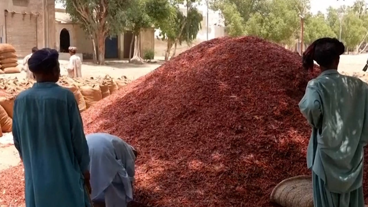 The heat is on for Pakistan’s chilli crops
