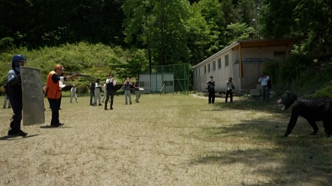 Bear drills in Japan as sightings increase