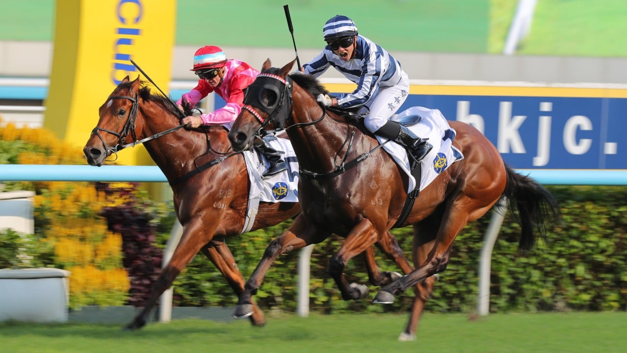 Nichola Yuen lets out a roar as Packing Glory gets up at Sha Tin.