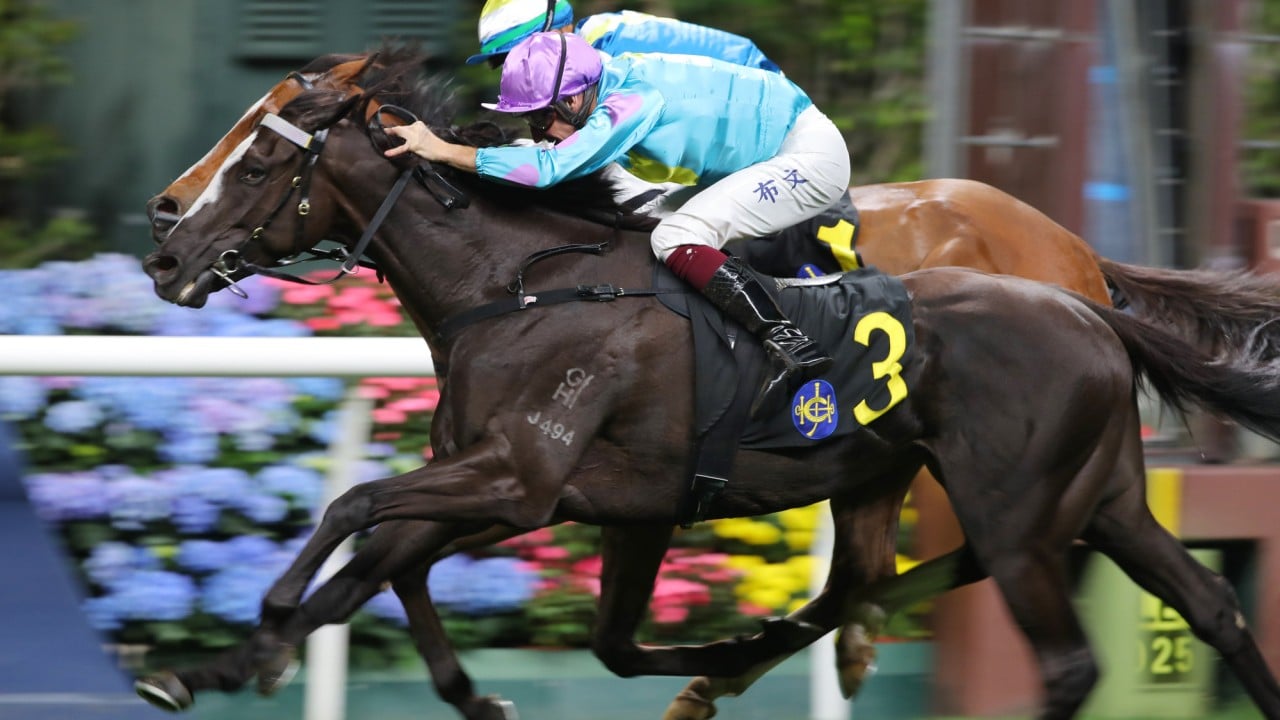 Casa Rochester, ridden by Hugh Bowman, scores at Happy Valley.