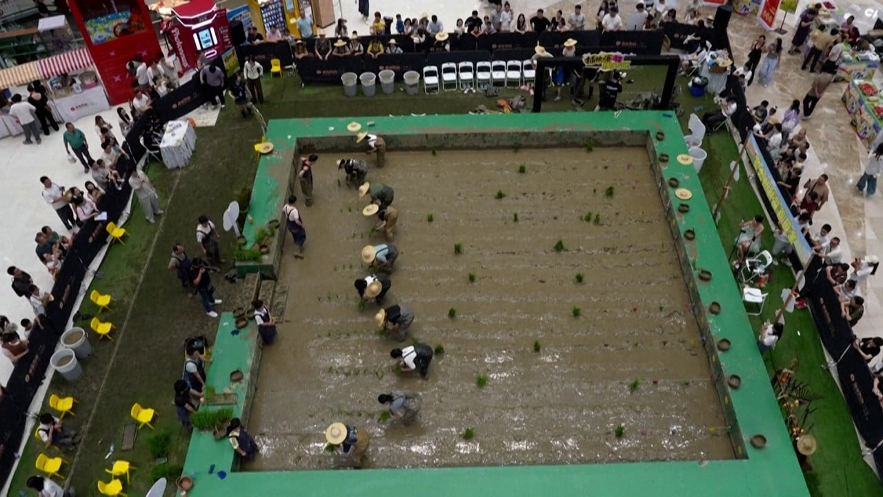 Rice-planting event takes over mall in China