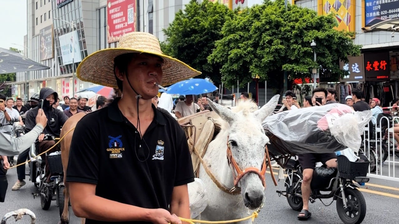 Chinese market workers bring in mules following e-bike ban