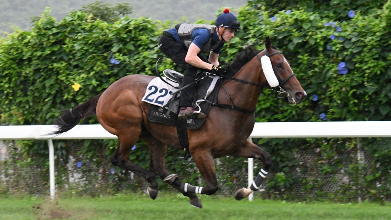 Colourful King gallops at Sha Tin last month.