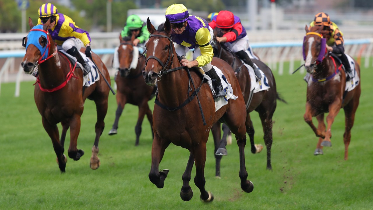 Colourful King wins up the Sha Tin straight in November. Photos: Kenneth Chan